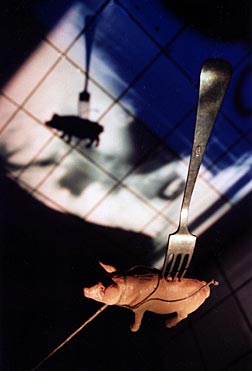 Domestic Affairs II (Foto: Teun van Essen)